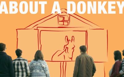 About a Donkey (2018) – Review